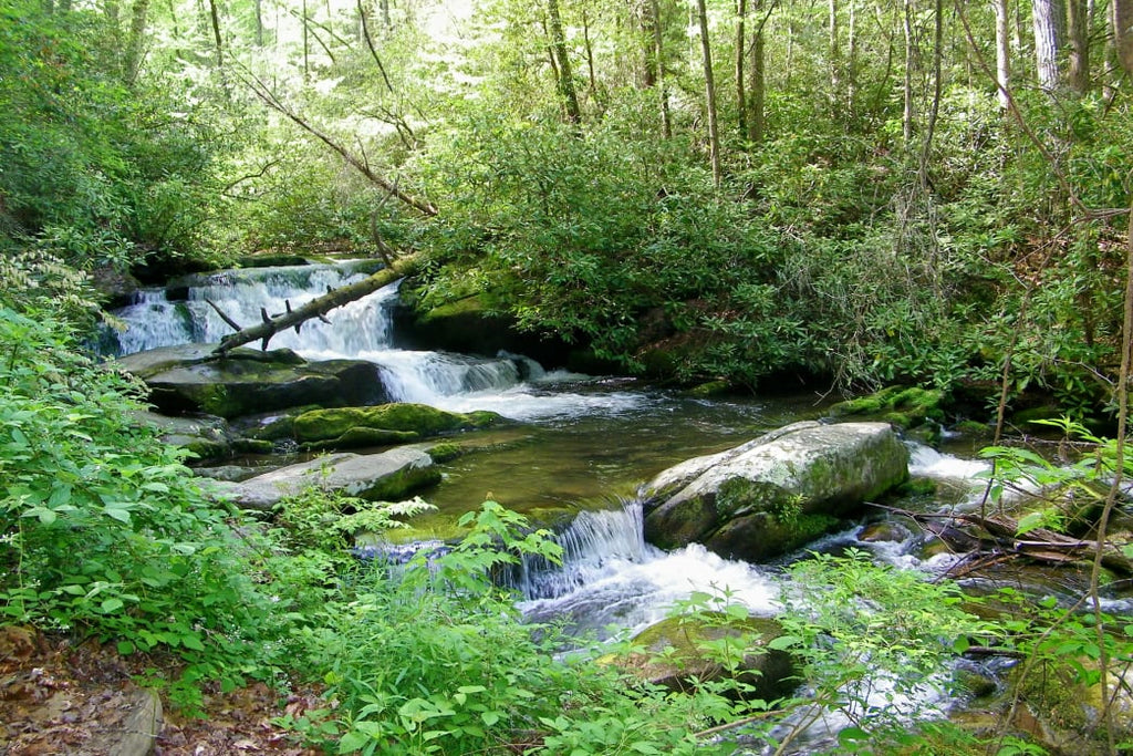 7 of the Best Places to Fly Fish in the Smokies