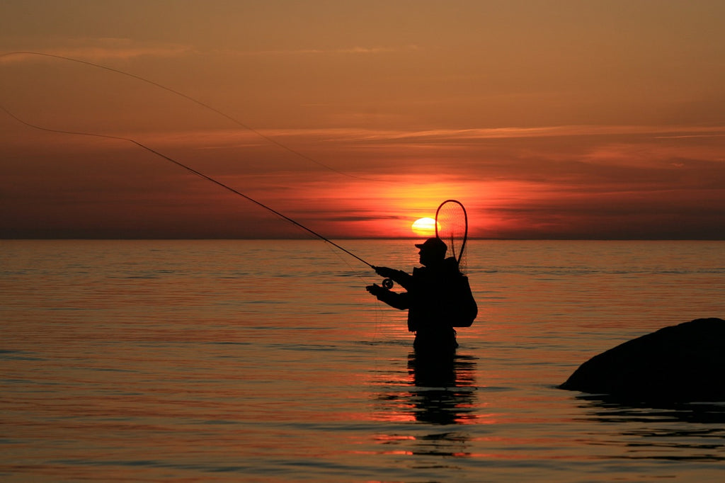 Five Essential Fishing Tools for this Season