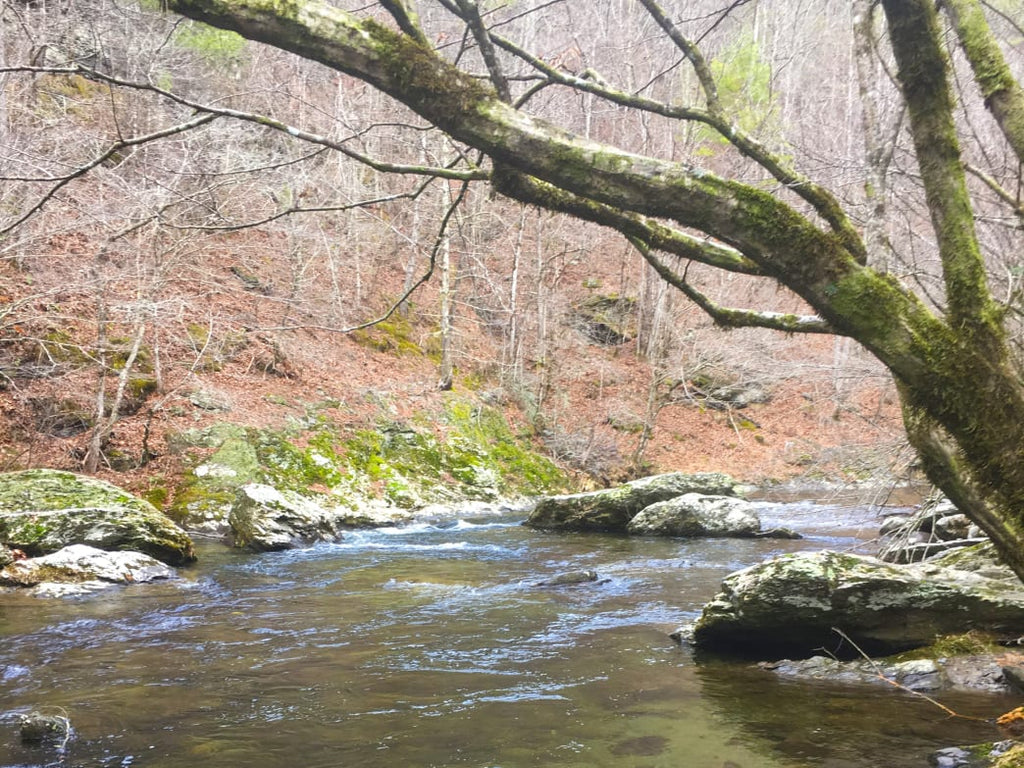 Little River from The Sinks to Townsend - Fly Fishing