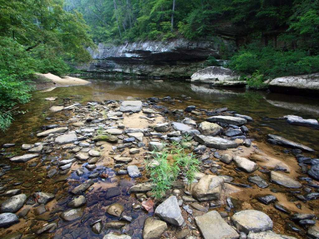 6 Top Fly Fishing Spots in Alabama