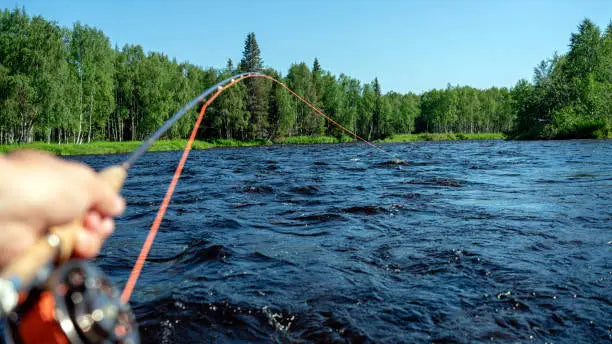 3 Things You Should Know Before Diving into Fly Fishing
