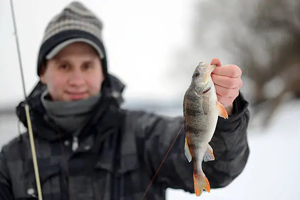 4 Must Know Fly Fishing Tips During the Winter