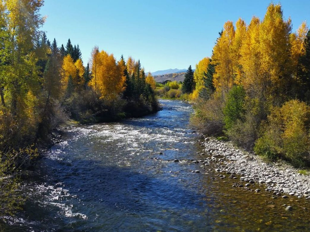 A Trout Fisherman's Dream Come True: The Middle Section of the Blue River