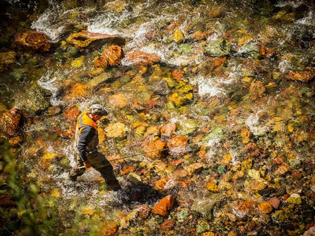 Get Ready for the Fall’s Best Trout and Salmon Fishing
